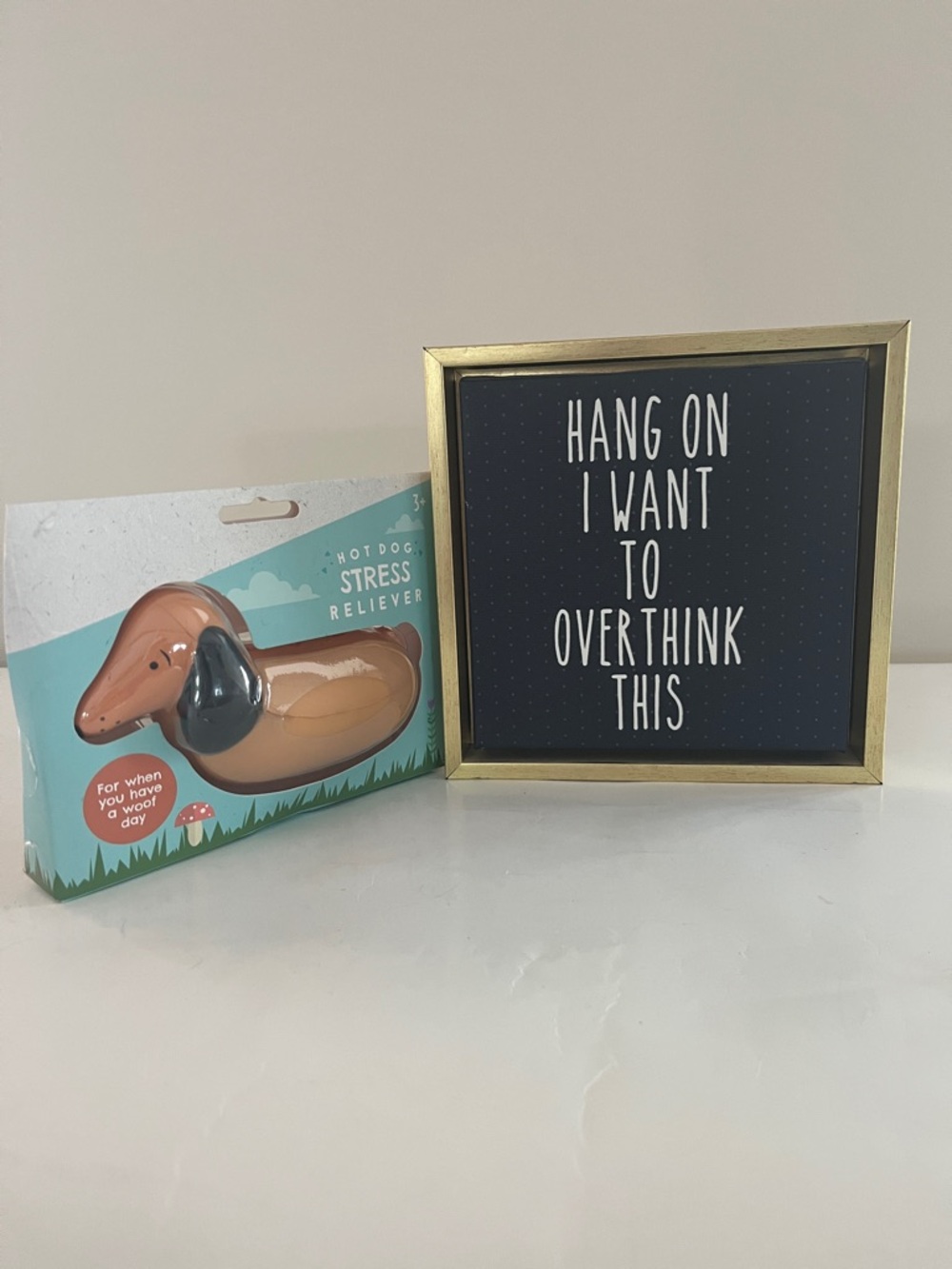 Humorous Framed Wall Art for an Over-thinker plus stress reliever hot dog toy